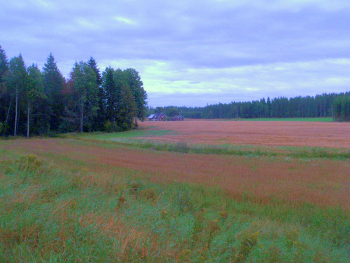 Cycling to Askersund.